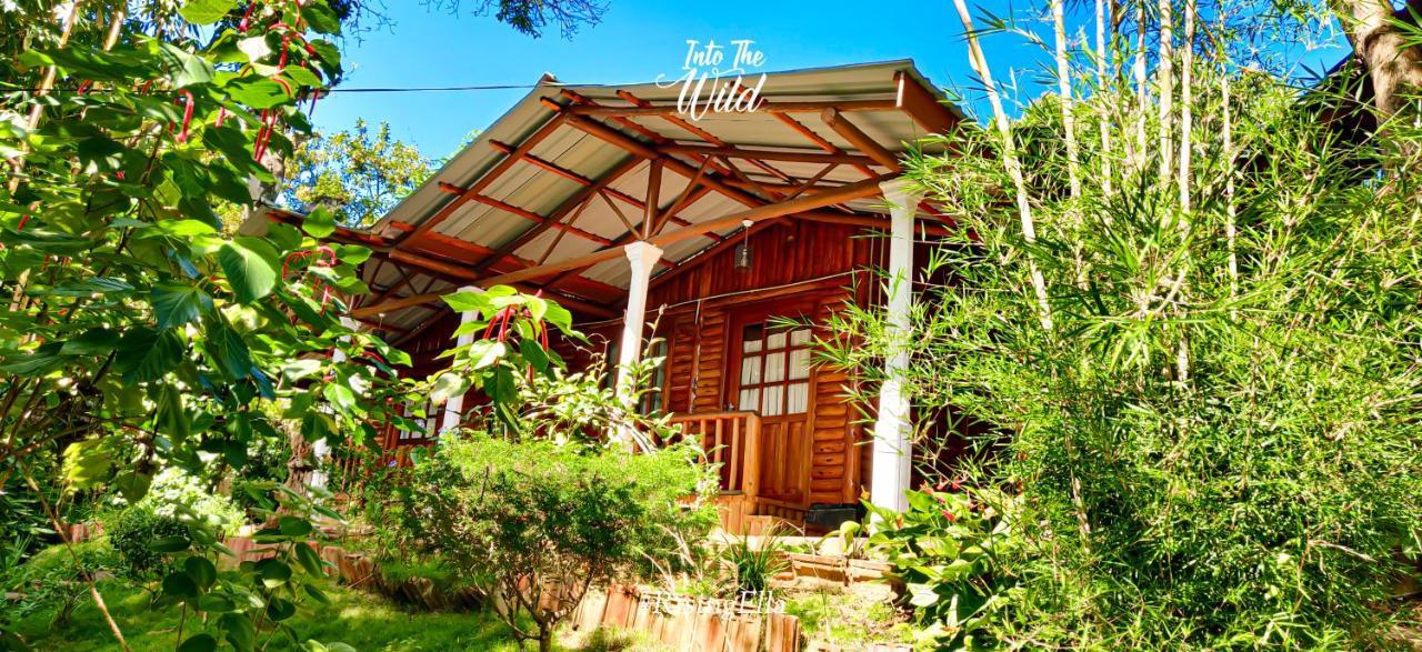 Hotel Little Folly Ella Exteriér fotografie